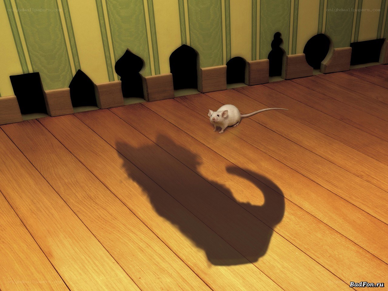 White mouse on wooden floor