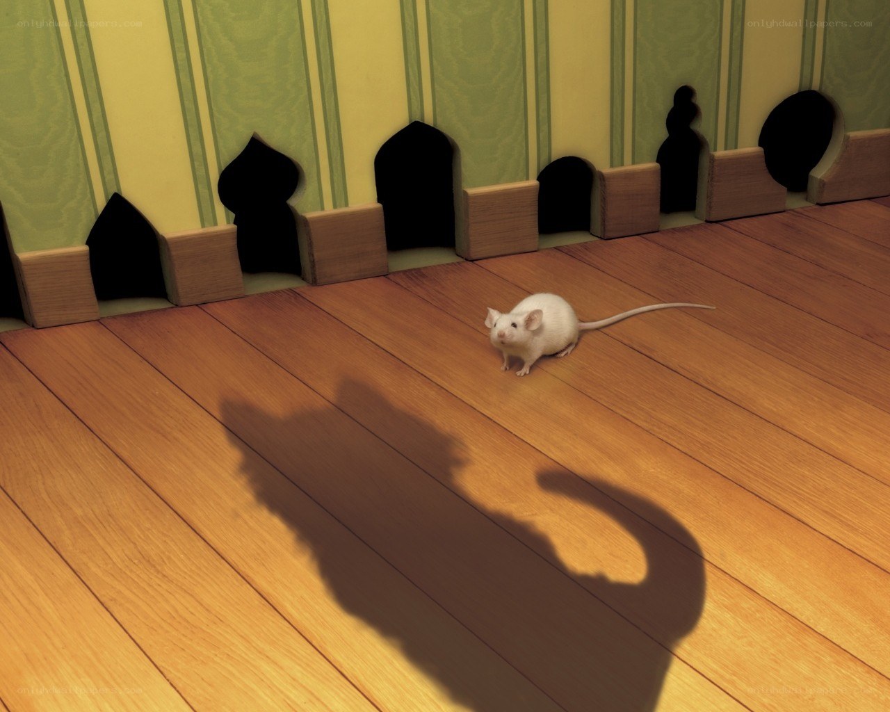 White mouse on wooden floor