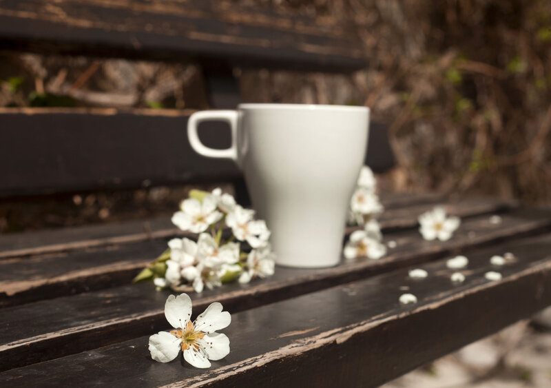 White Mug on Bench