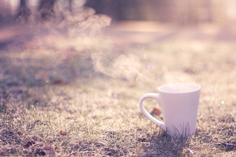 White Mug on Grass — Serene, Morning, Photograph