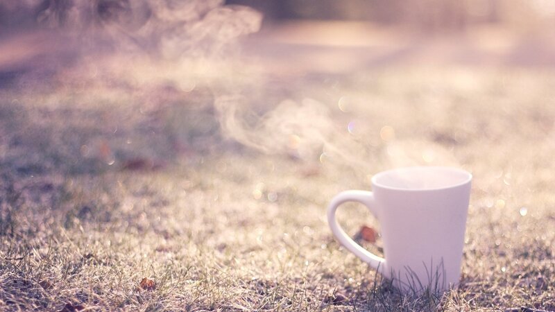 White Mug on Grass — Serene, Morning