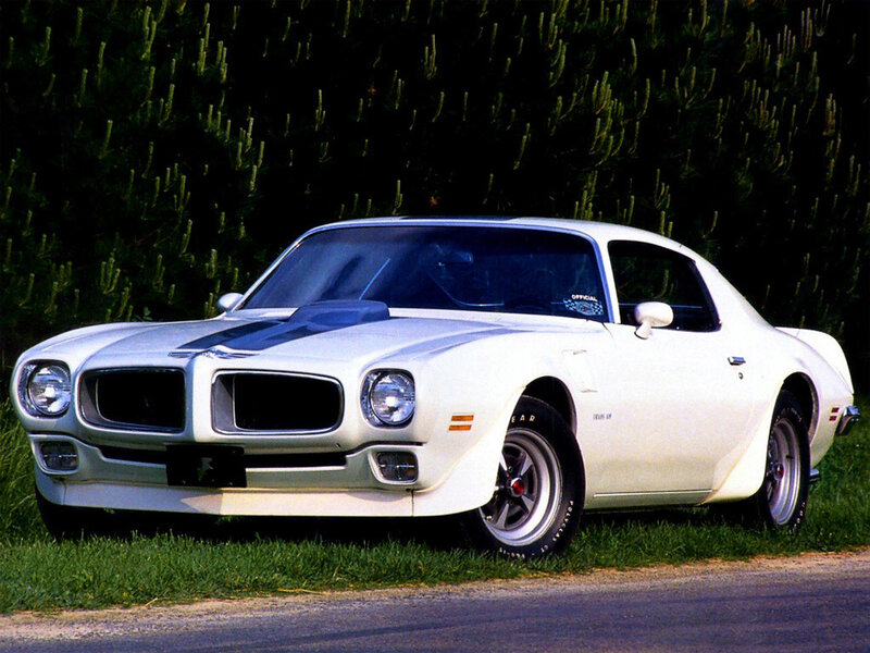 White Muscle Car — Calm, Afternoon, Photograph, Grass, Trees, Road