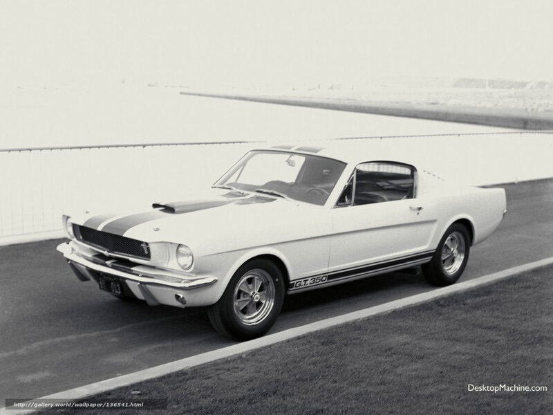 White Muscle Car — Calm, Photograph