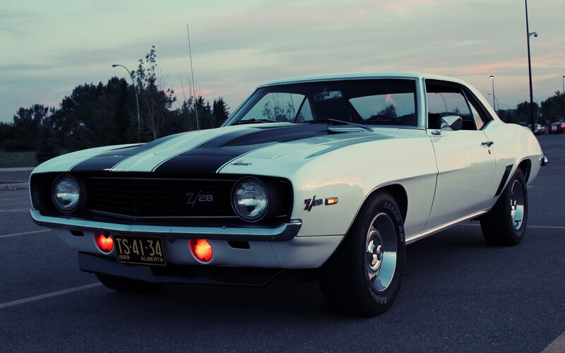 White Muscle Car — Dramatic, Sunset, Photograph, License Plate