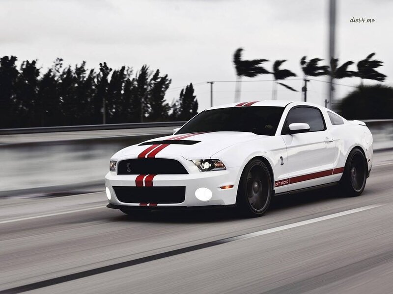 White Muscle Car — Dynamic, Photograph, Road