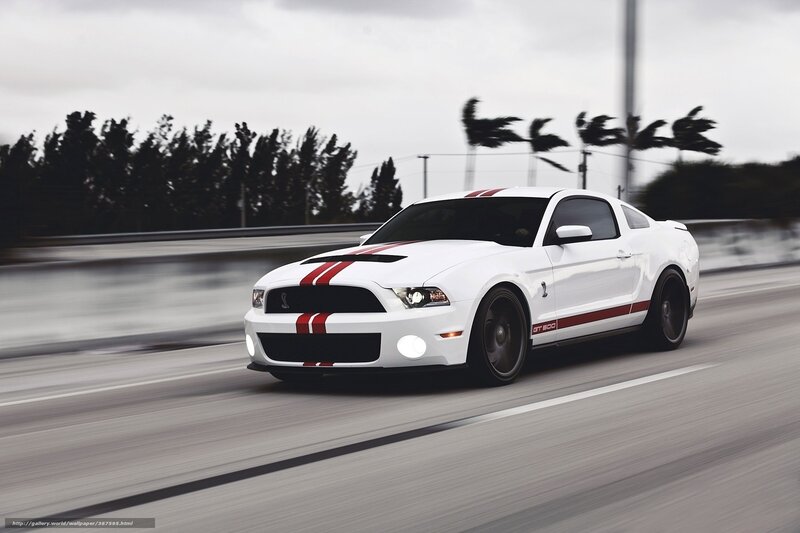 White Muscle Car — Dynamic, Photograph