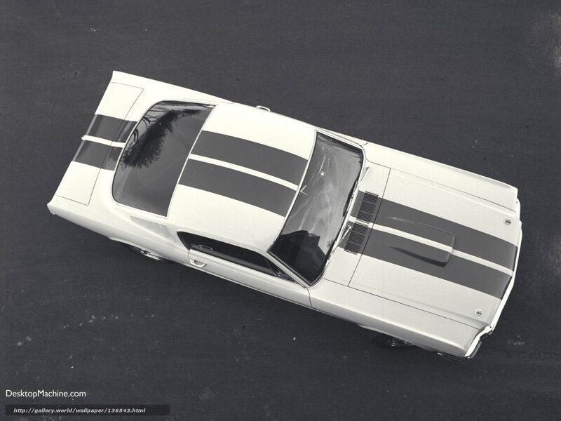 white muscle car from above