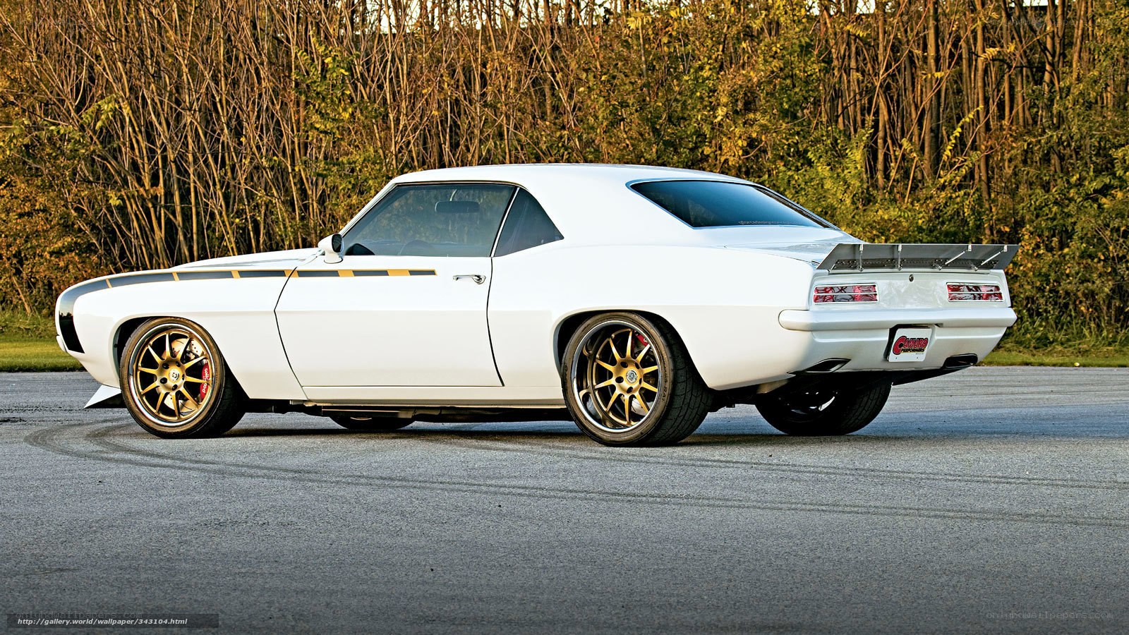white muscle car on asphalt