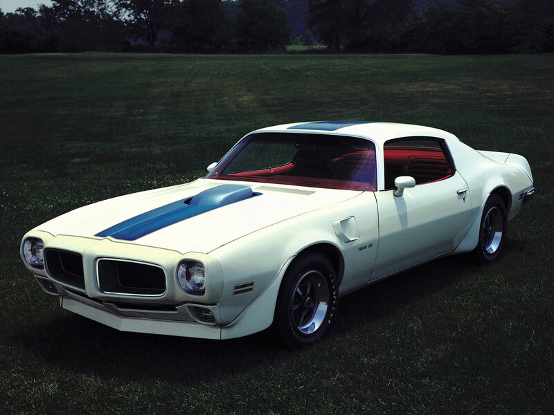 White muscle car on grass