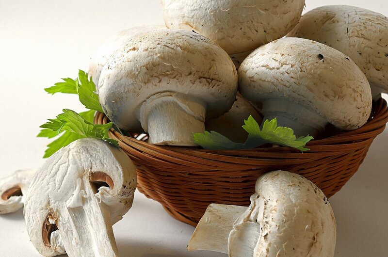 White Mushrooms in Basket — Brown, Natural, Photograph