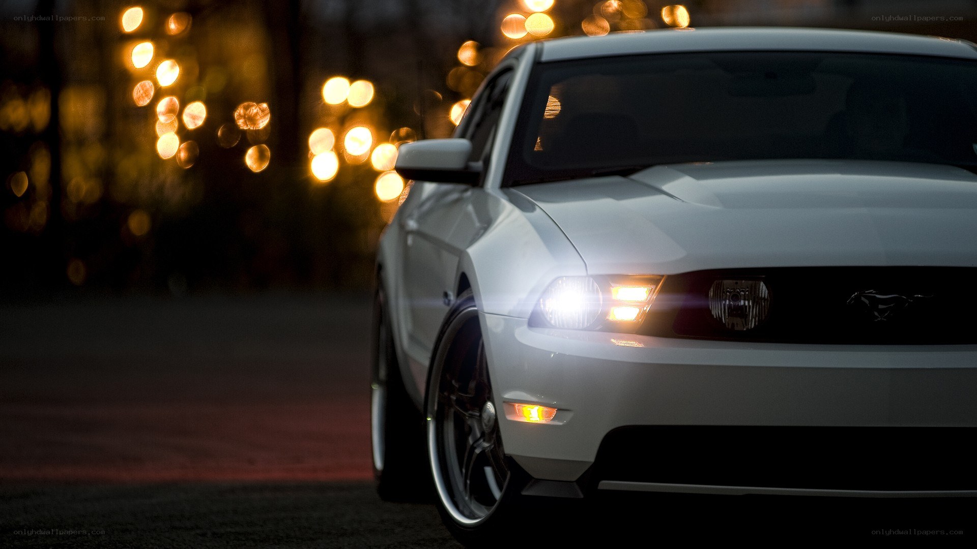 white mustang at night