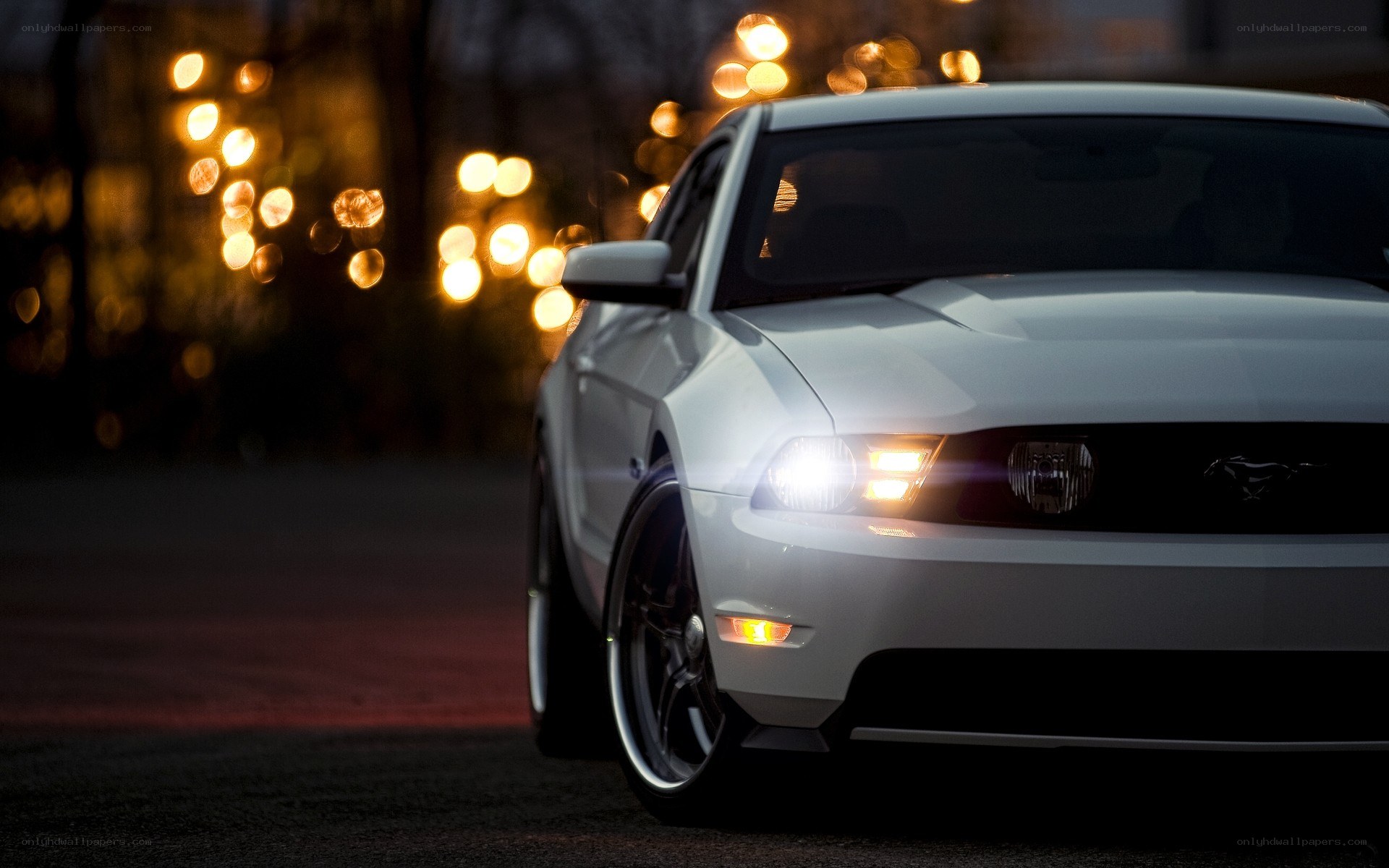 white mustang at night