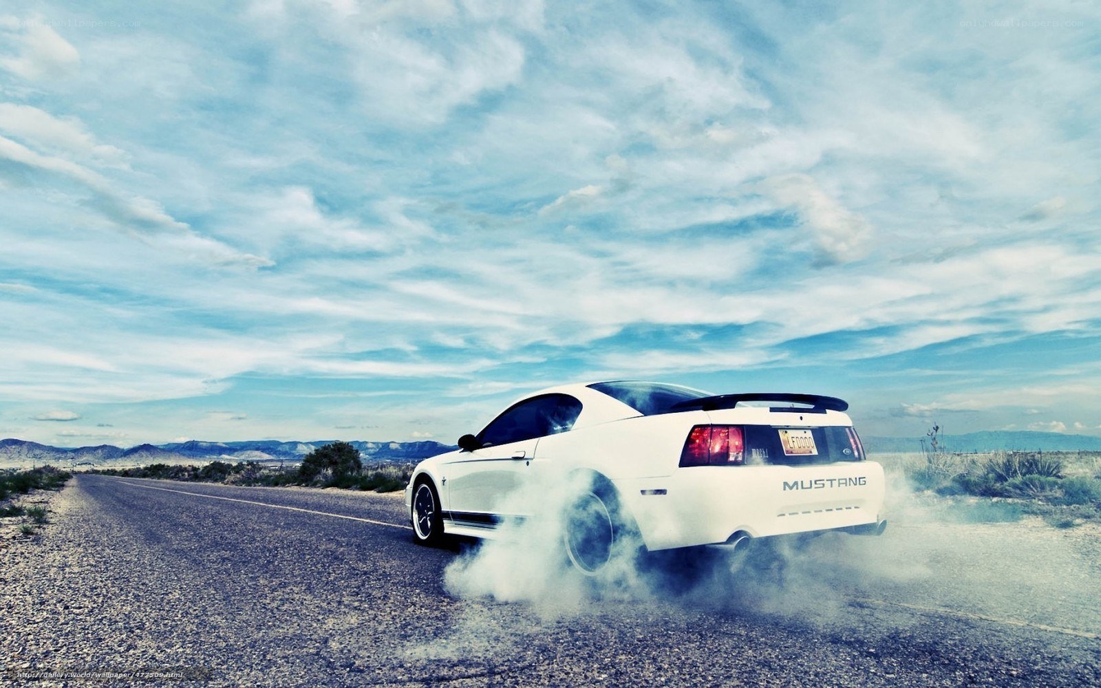 White Mustang burning rubber