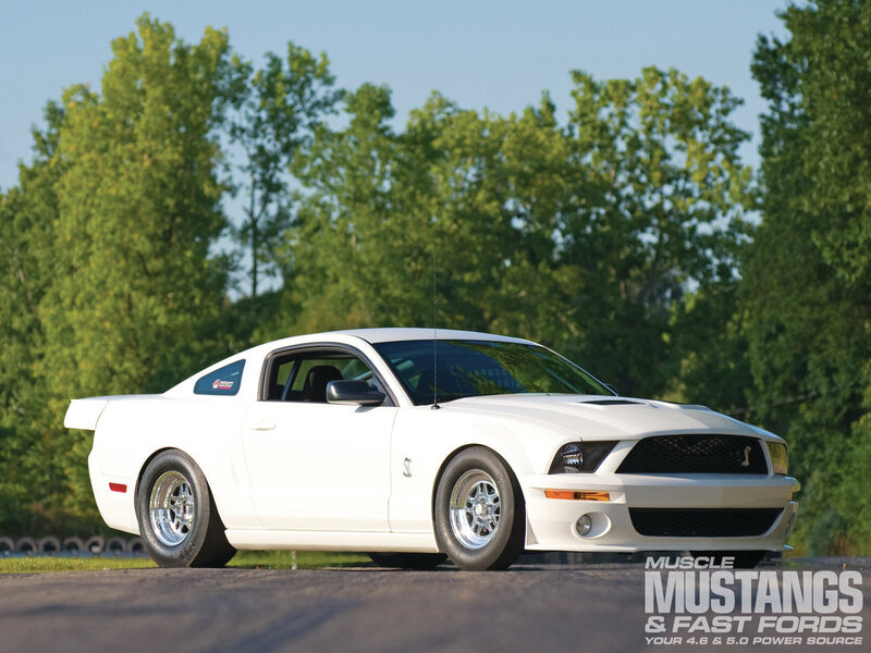 White Mustang Car — Calm