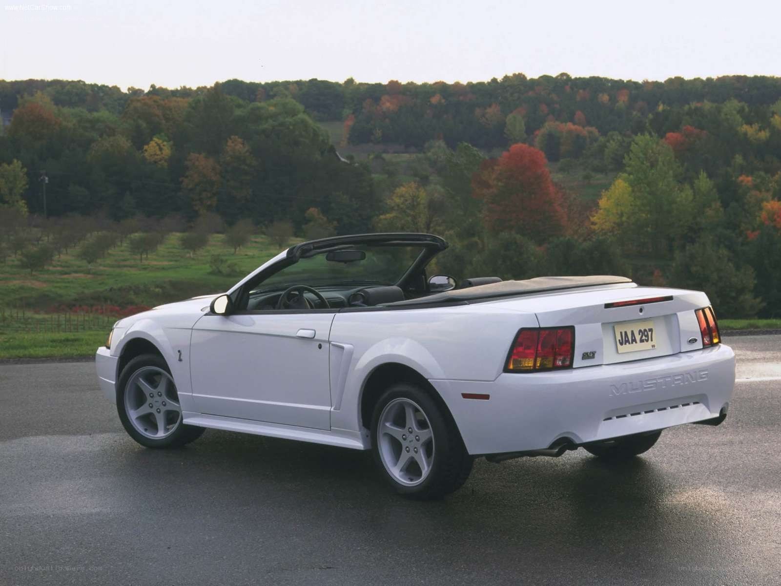 white mustang convertible