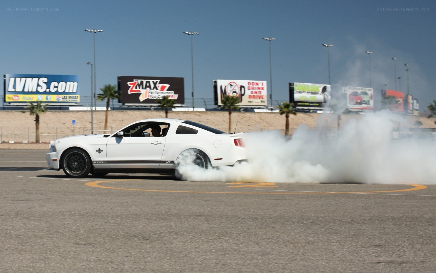 white mustang doing burnout