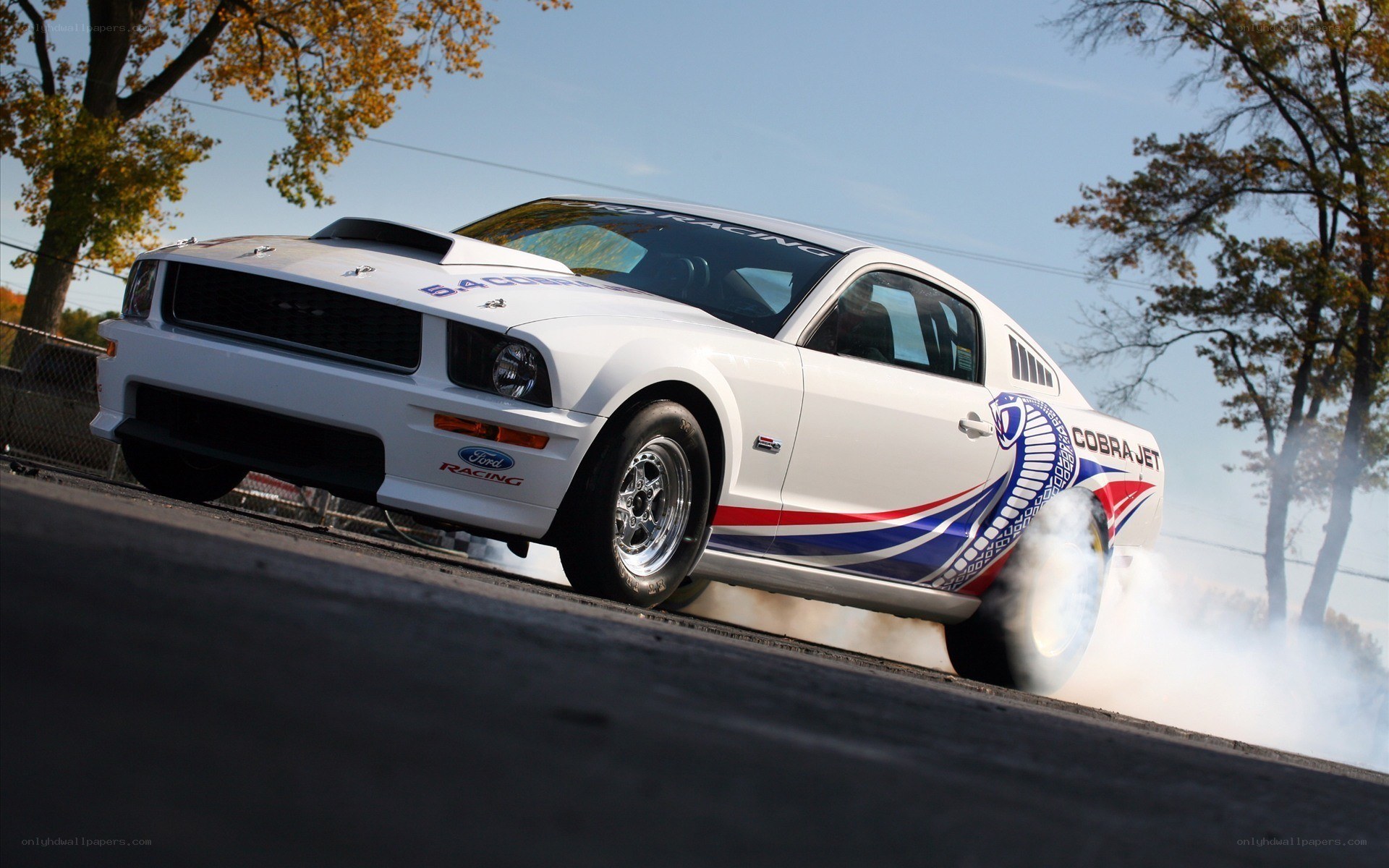 white mustang drag racing