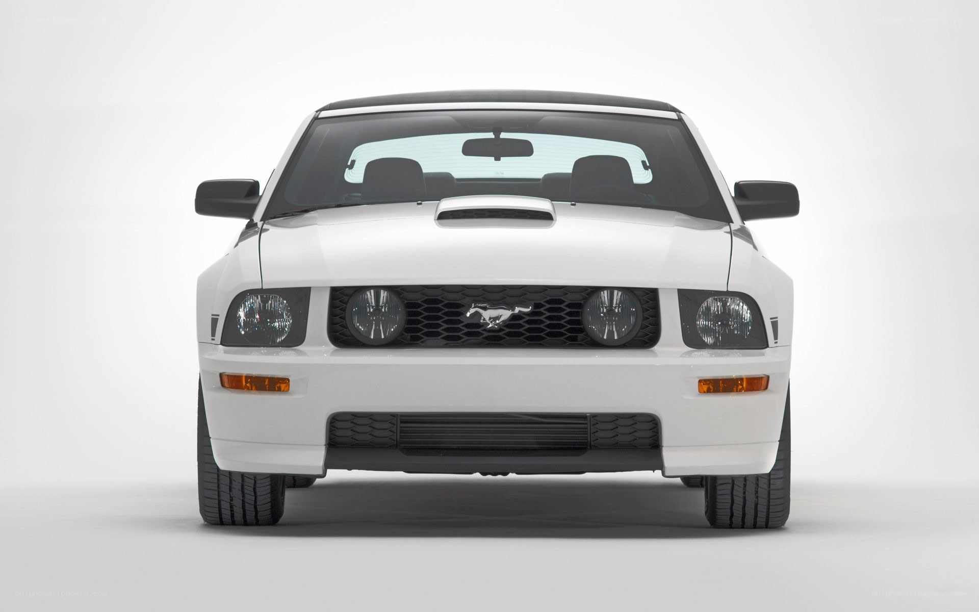 white mustang front view