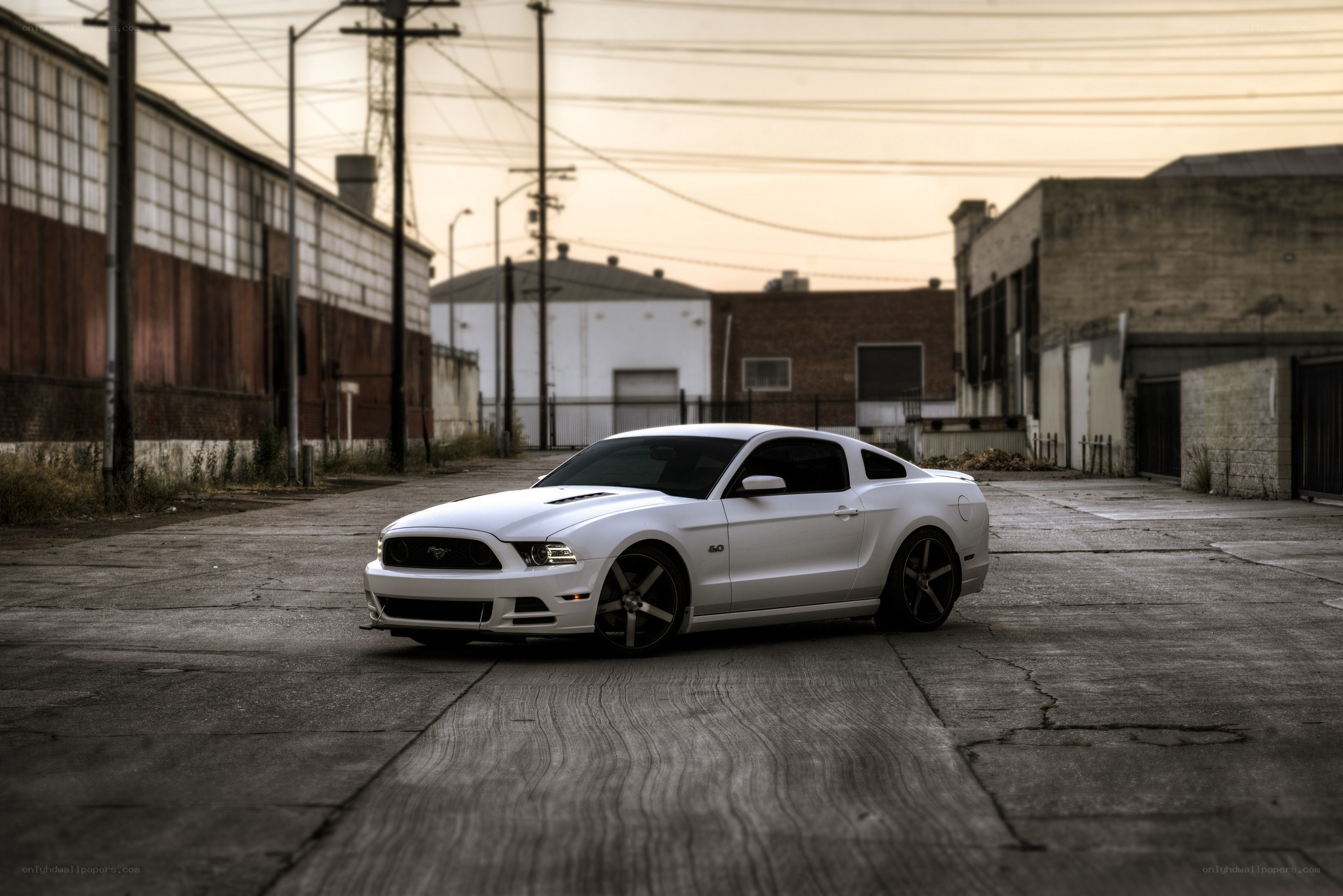 White Mustang in an alley