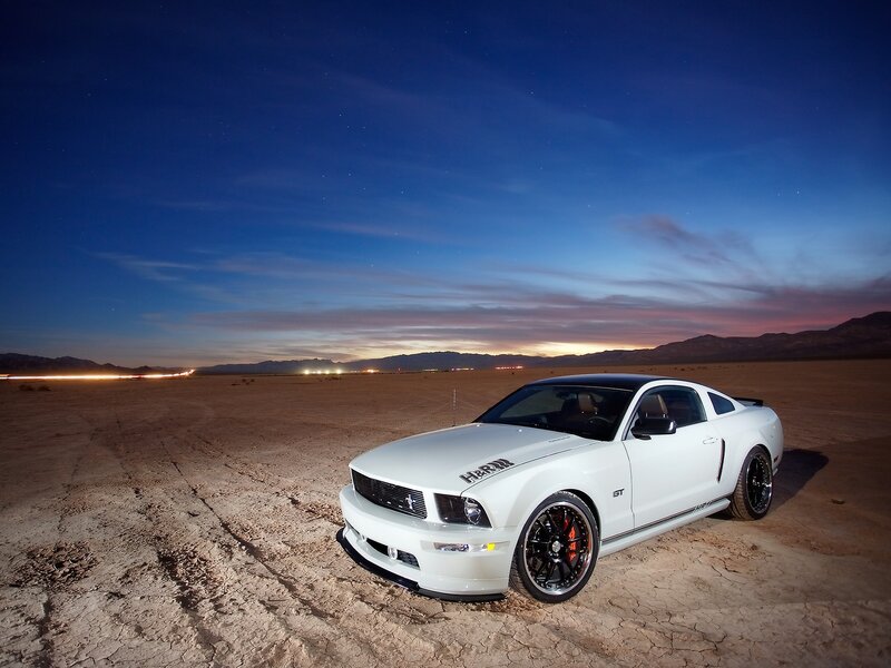 White Mustang in desert at night
