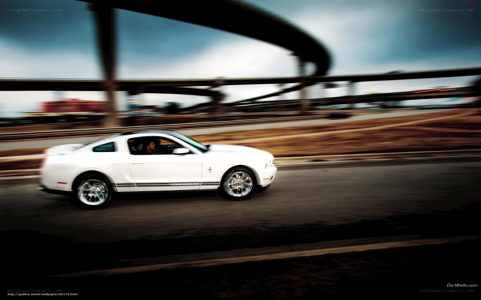 White Mustang in motion