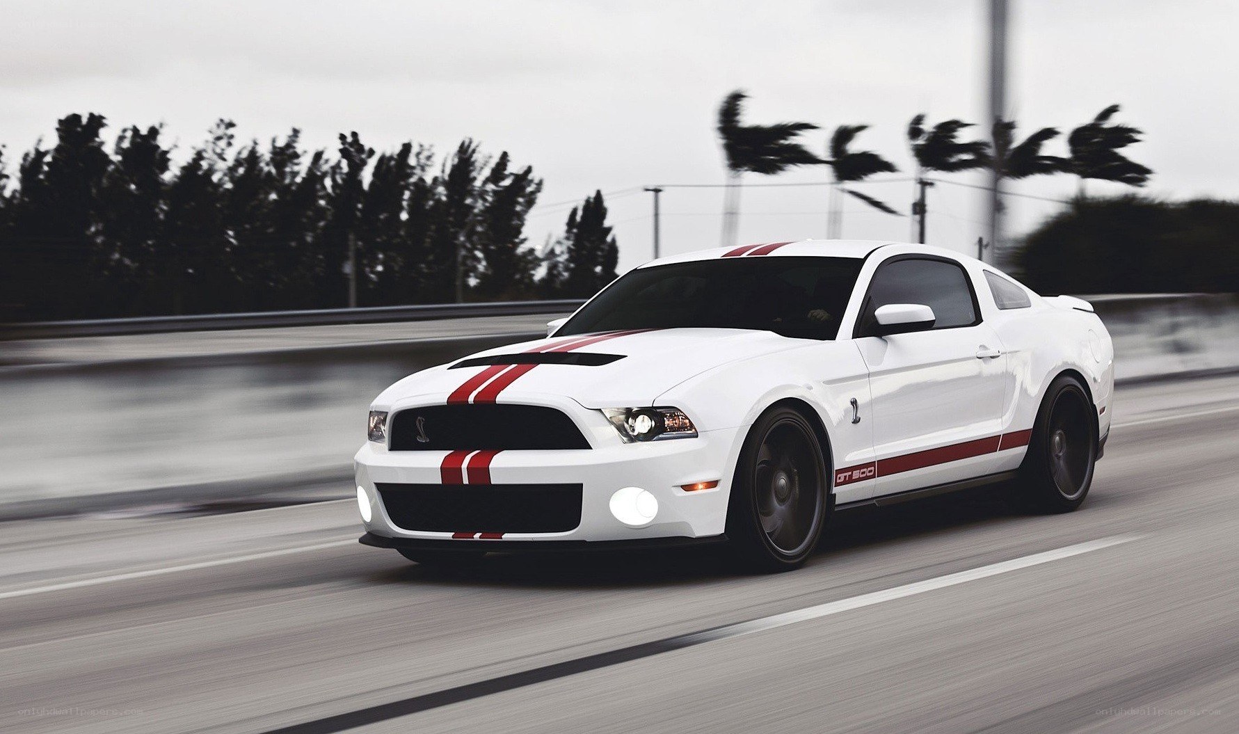 white mustang on a road