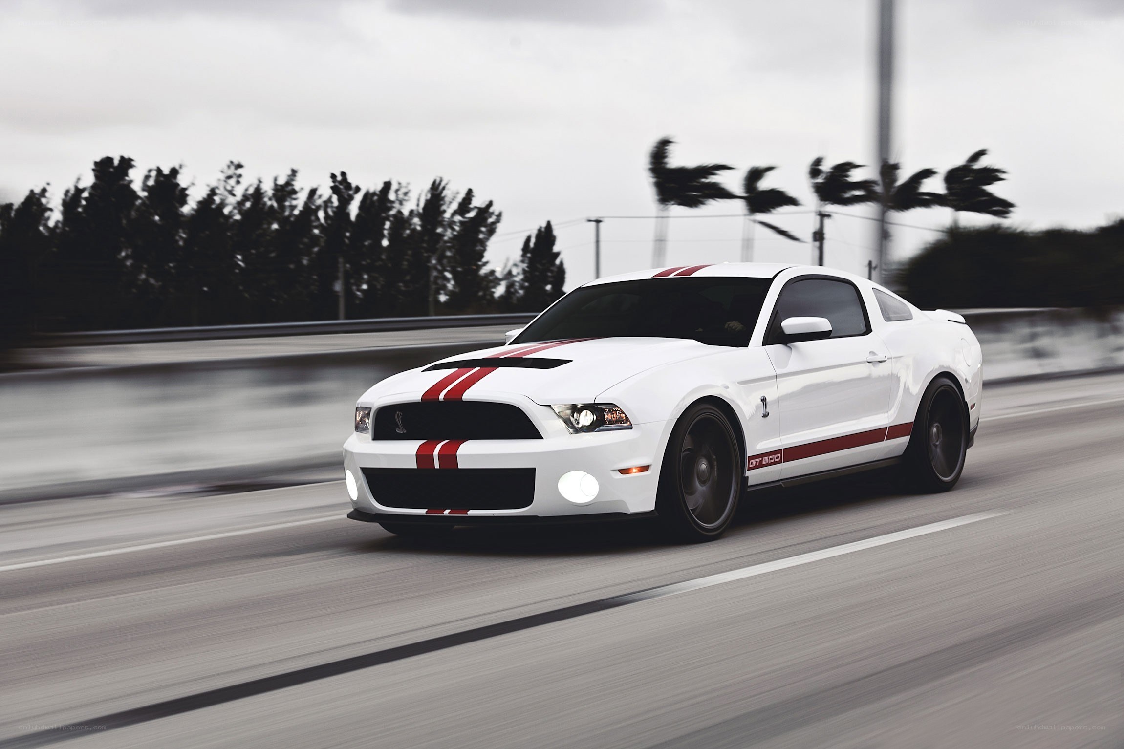 white mustang on a road