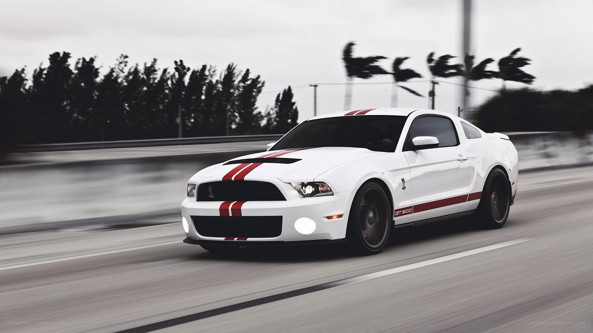 white mustang on a road