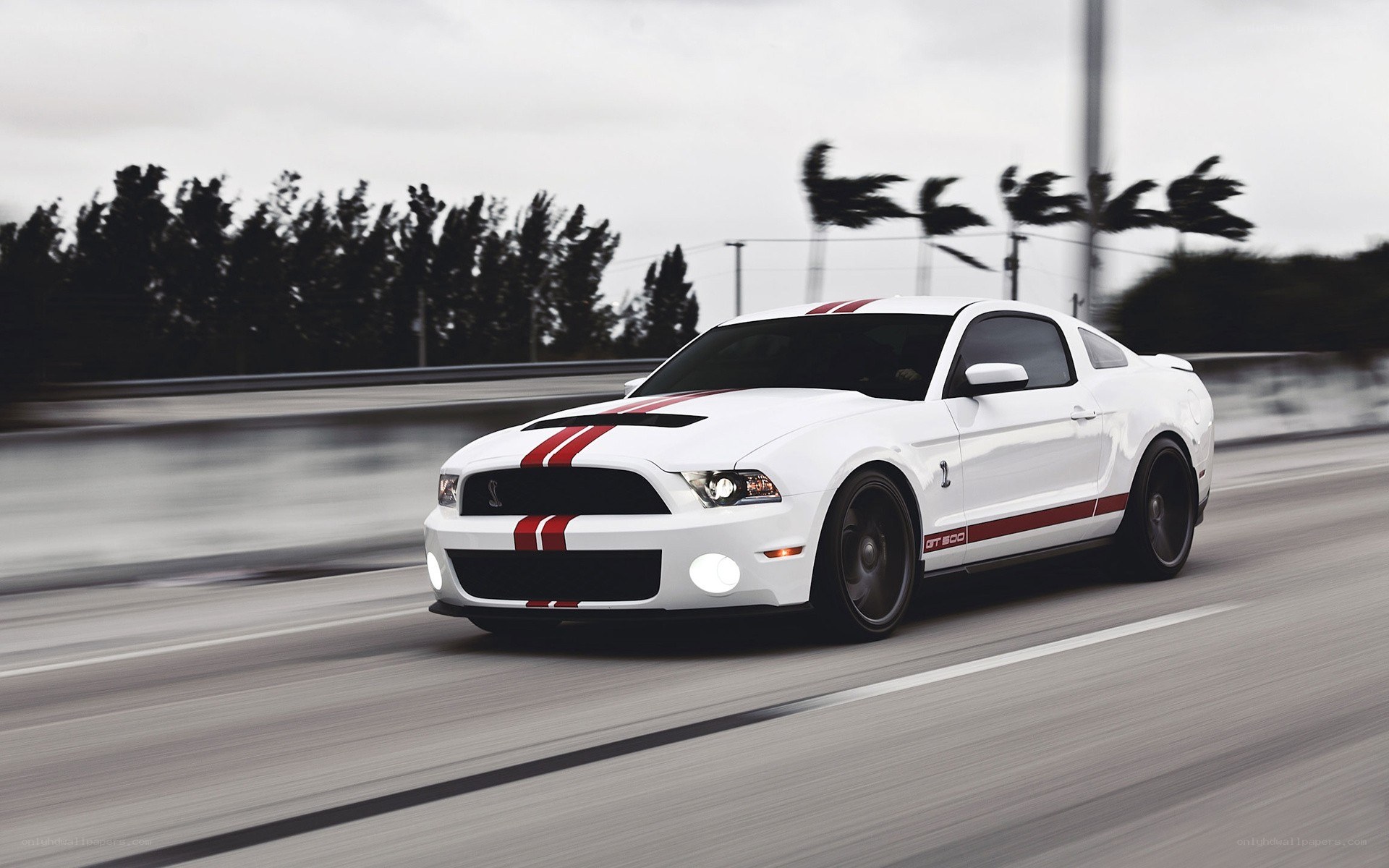 white mustang on a road