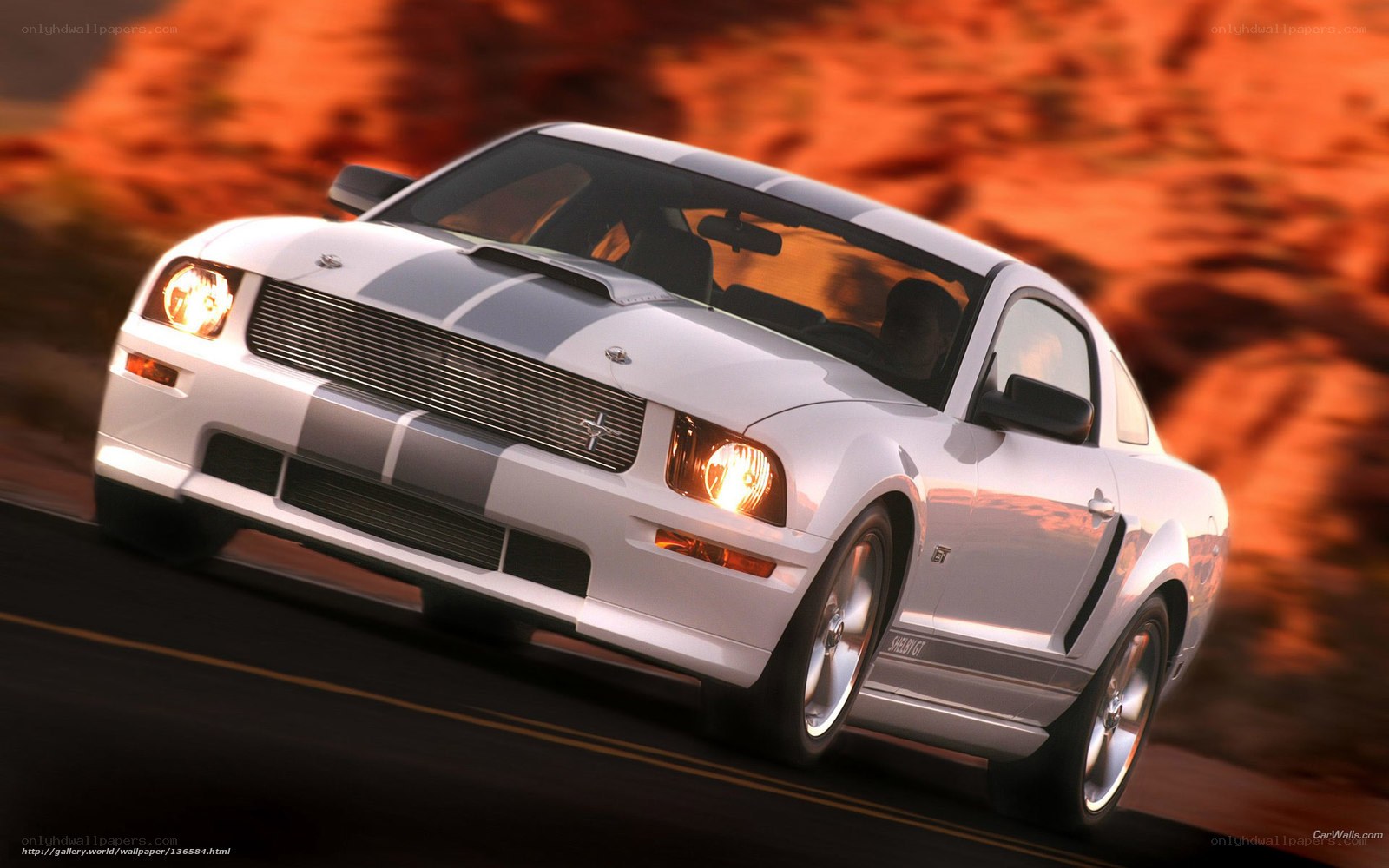 white mustang on desert road