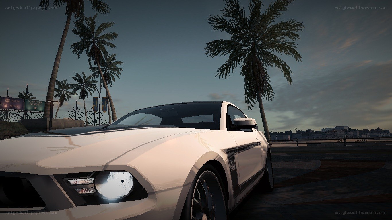 white mustang on palm-lined road