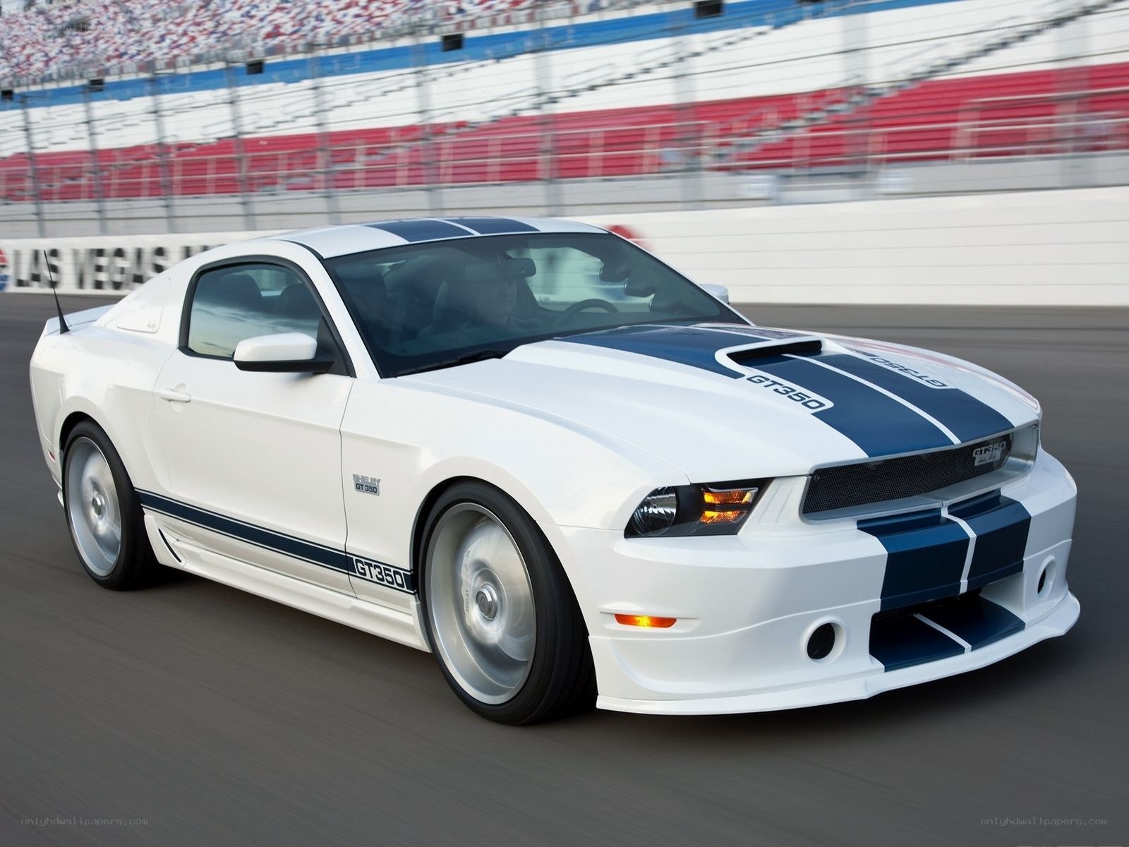white mustang on racetrack
