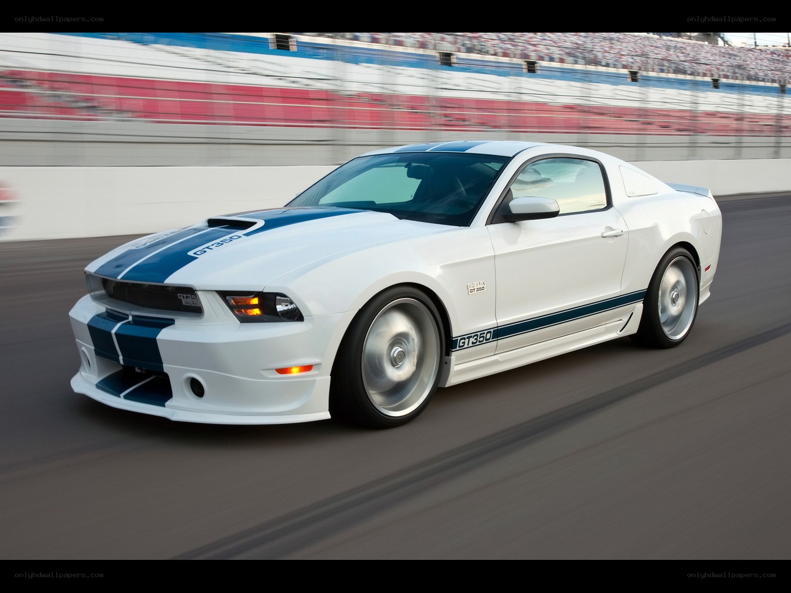white mustang on racetrack
