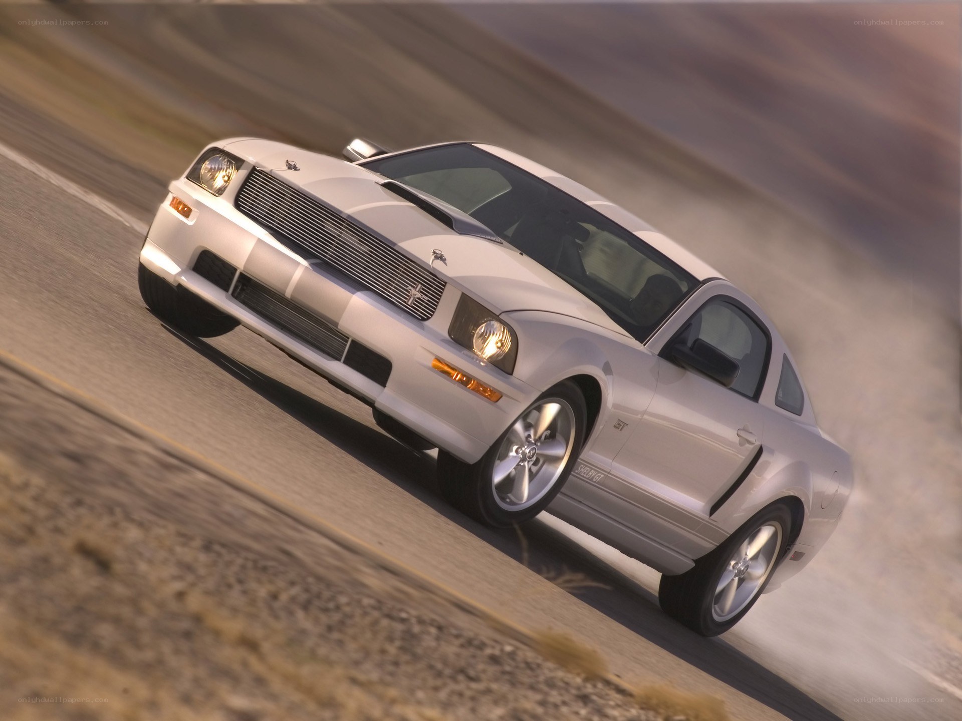 white mustang on road