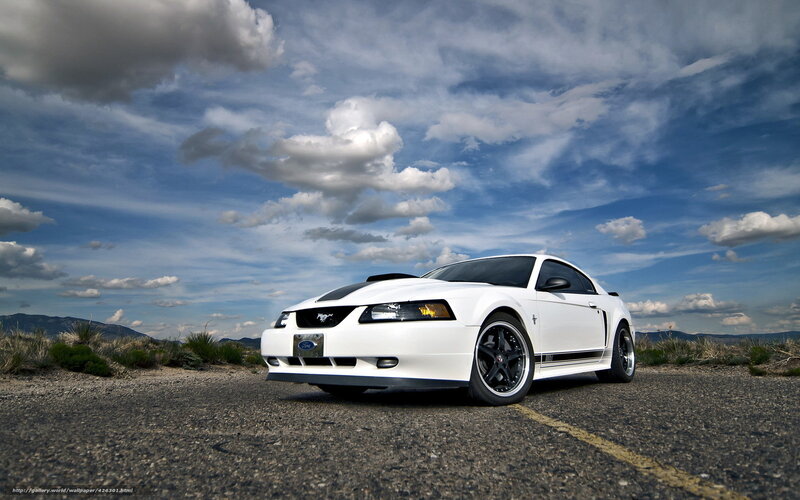 White Mustang on Road — Dramatic