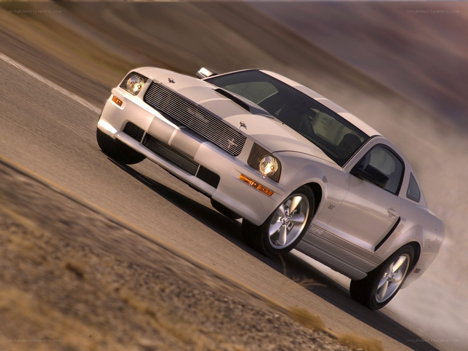 white mustang on road