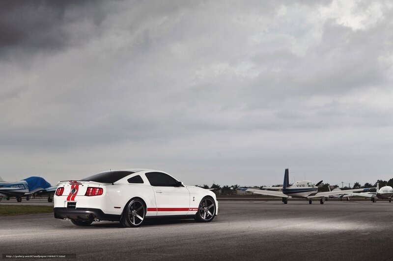 White Mustang on tarmac
