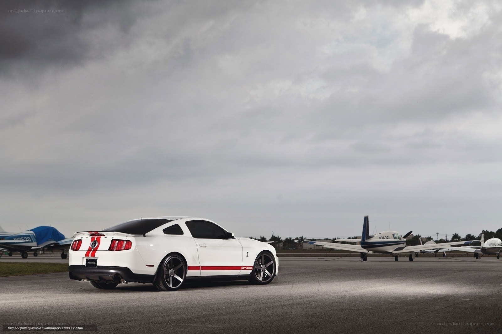 White Mustang on tarmac