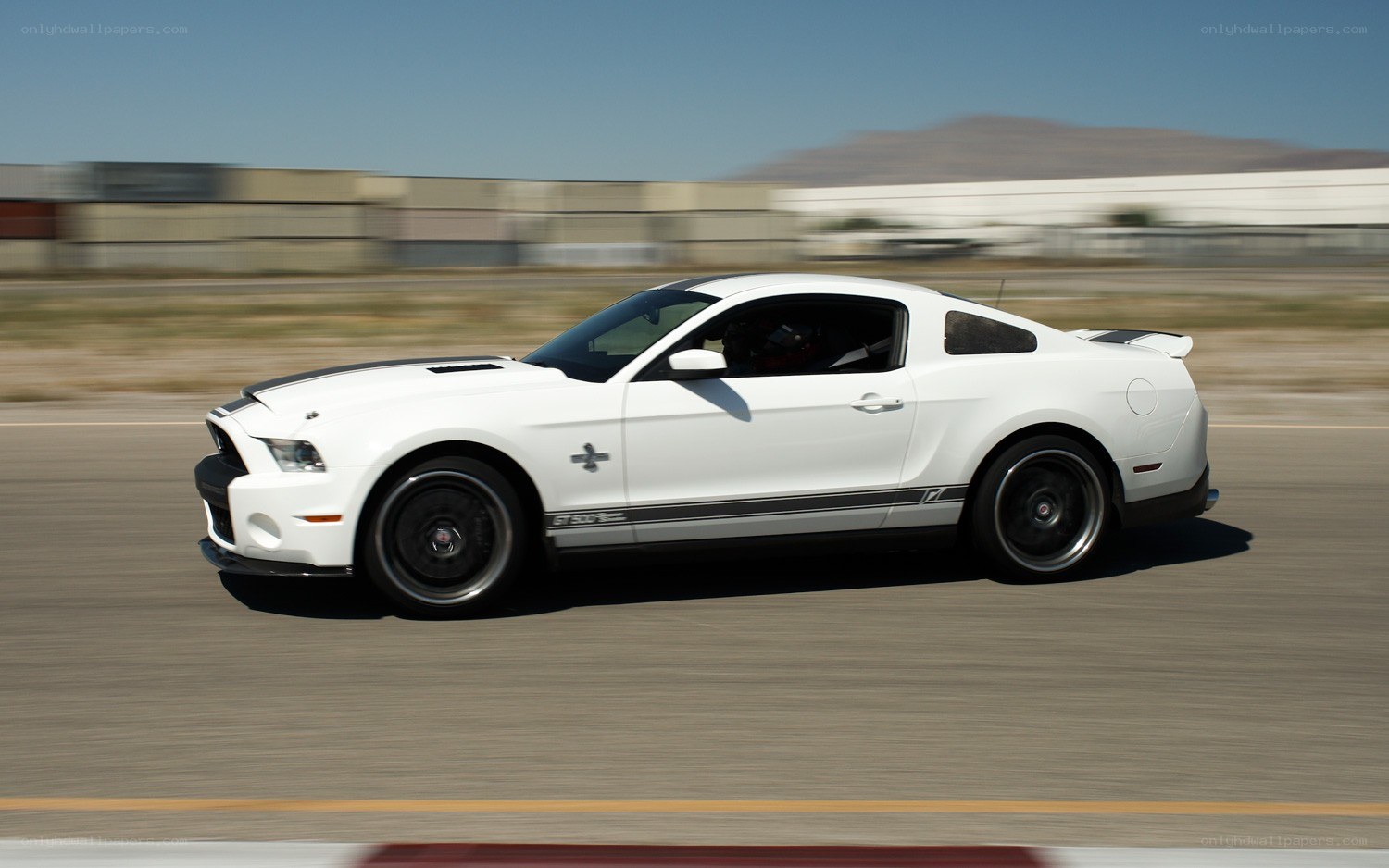 white mustang on track