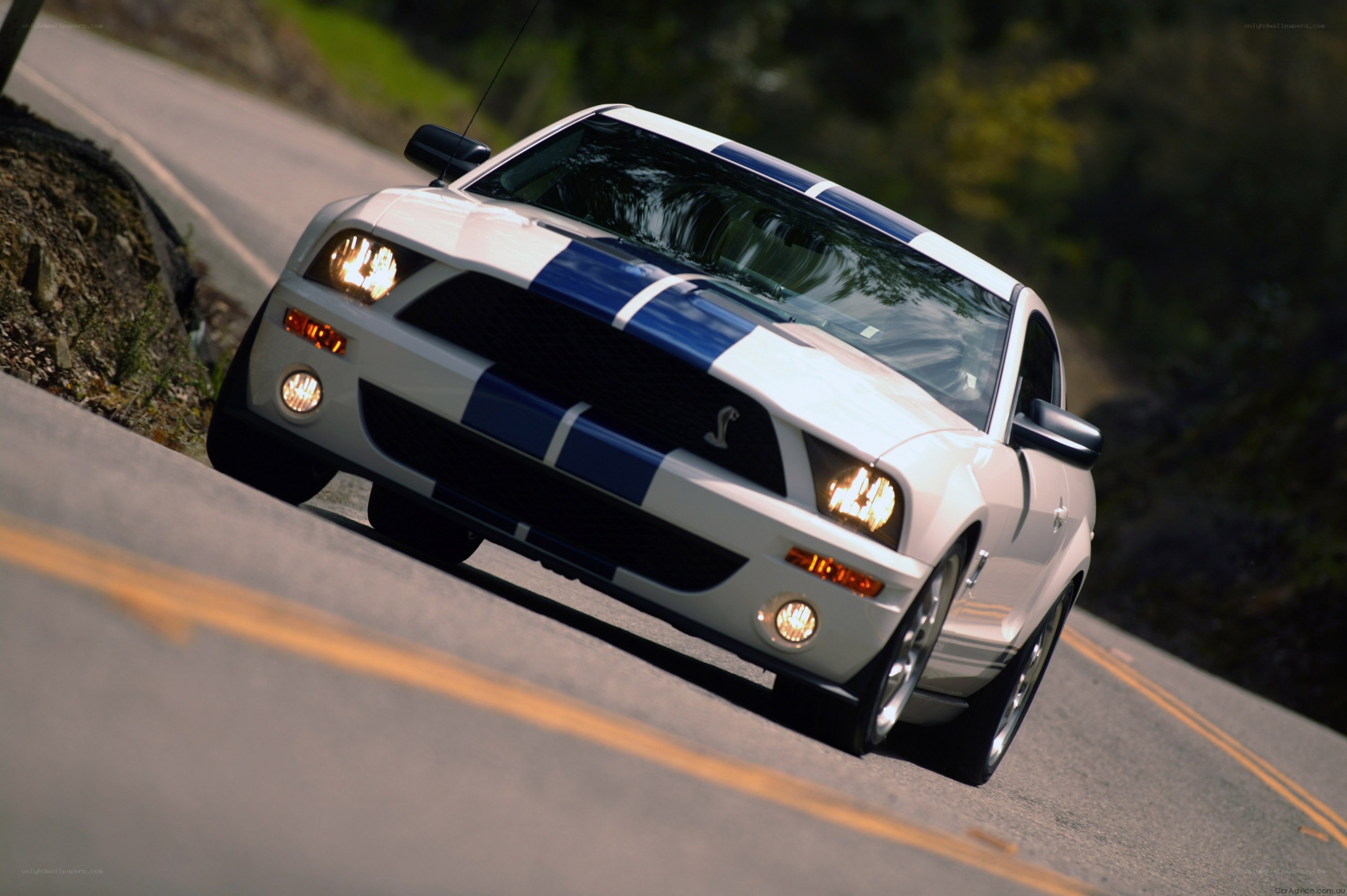white mustang on winding road