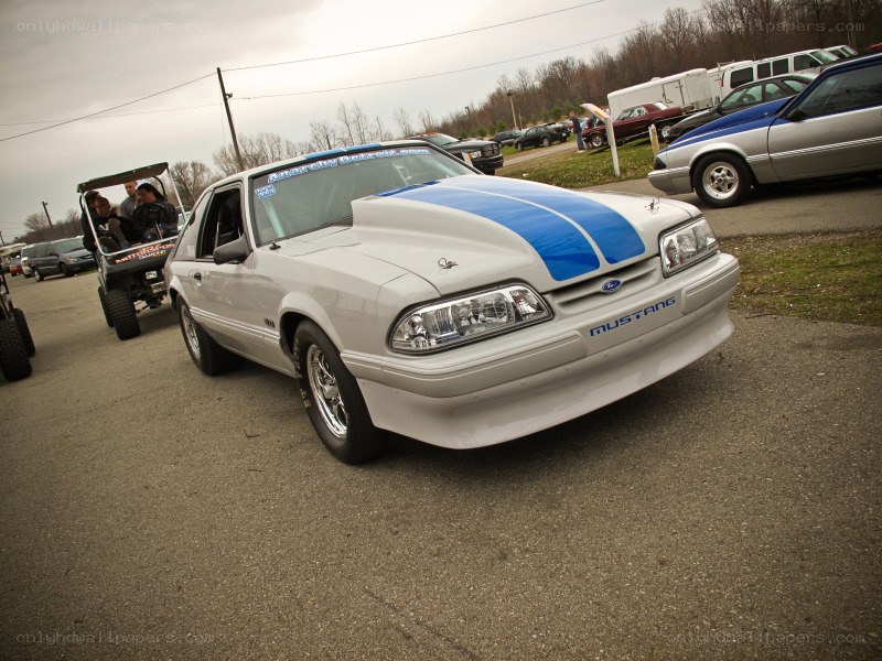 white mustang with blue stripes