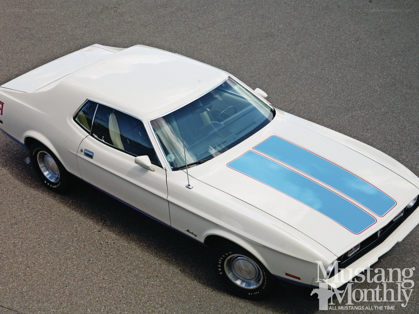 White Mustang with blue stripes