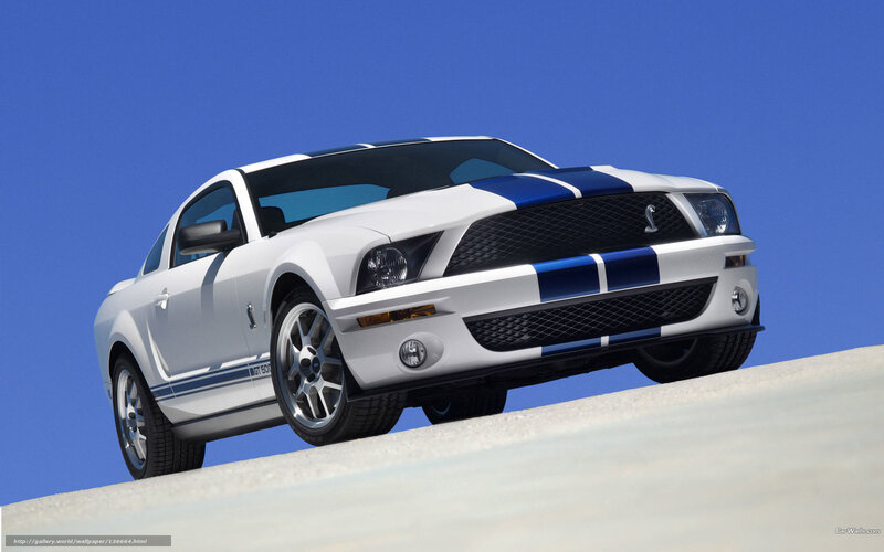 white mustang with blue stripes