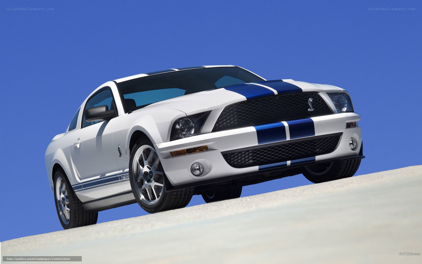 white mustang with blue stripes