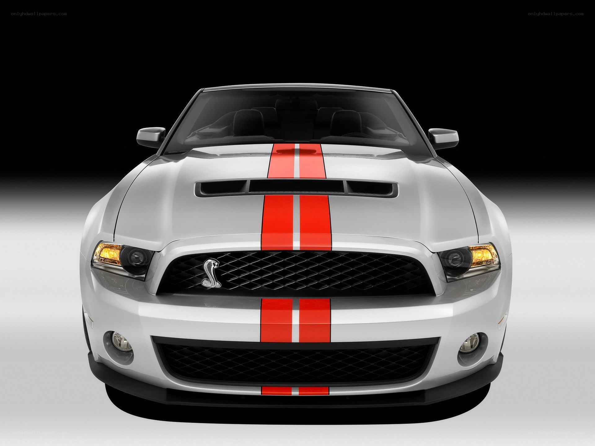 white mustang with red stripes