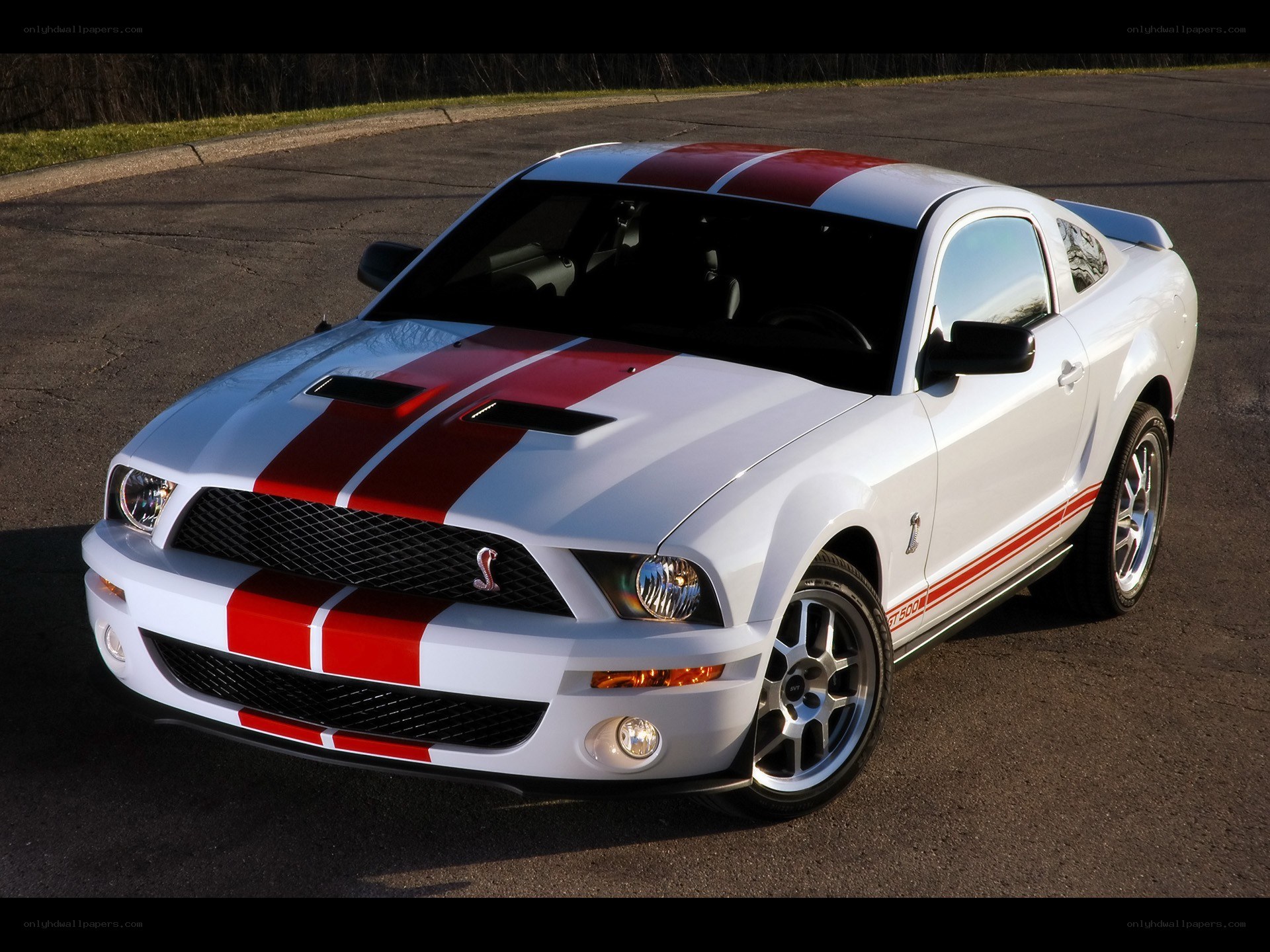 white mustang with red stripes