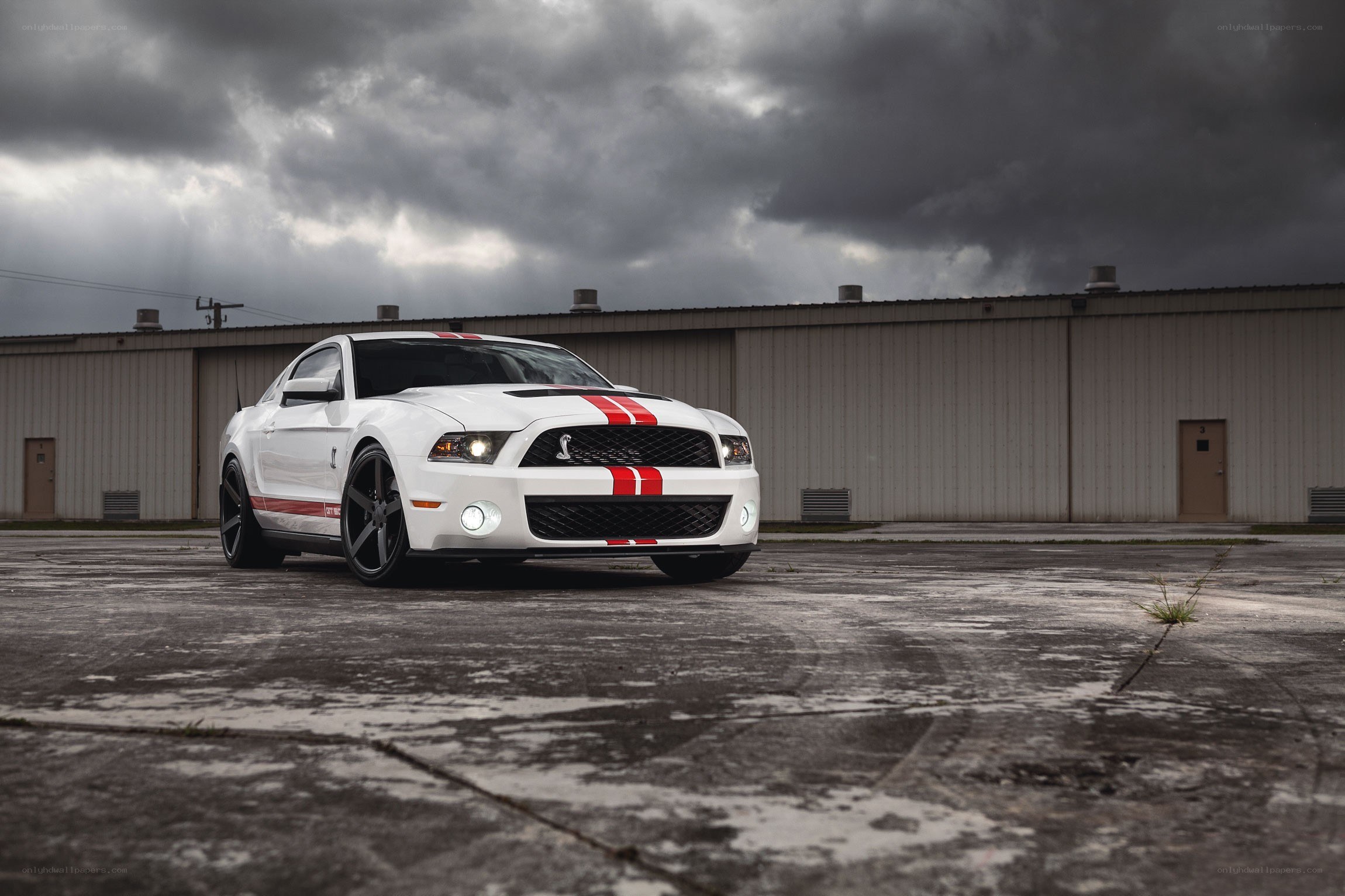 white mustang with red stripes