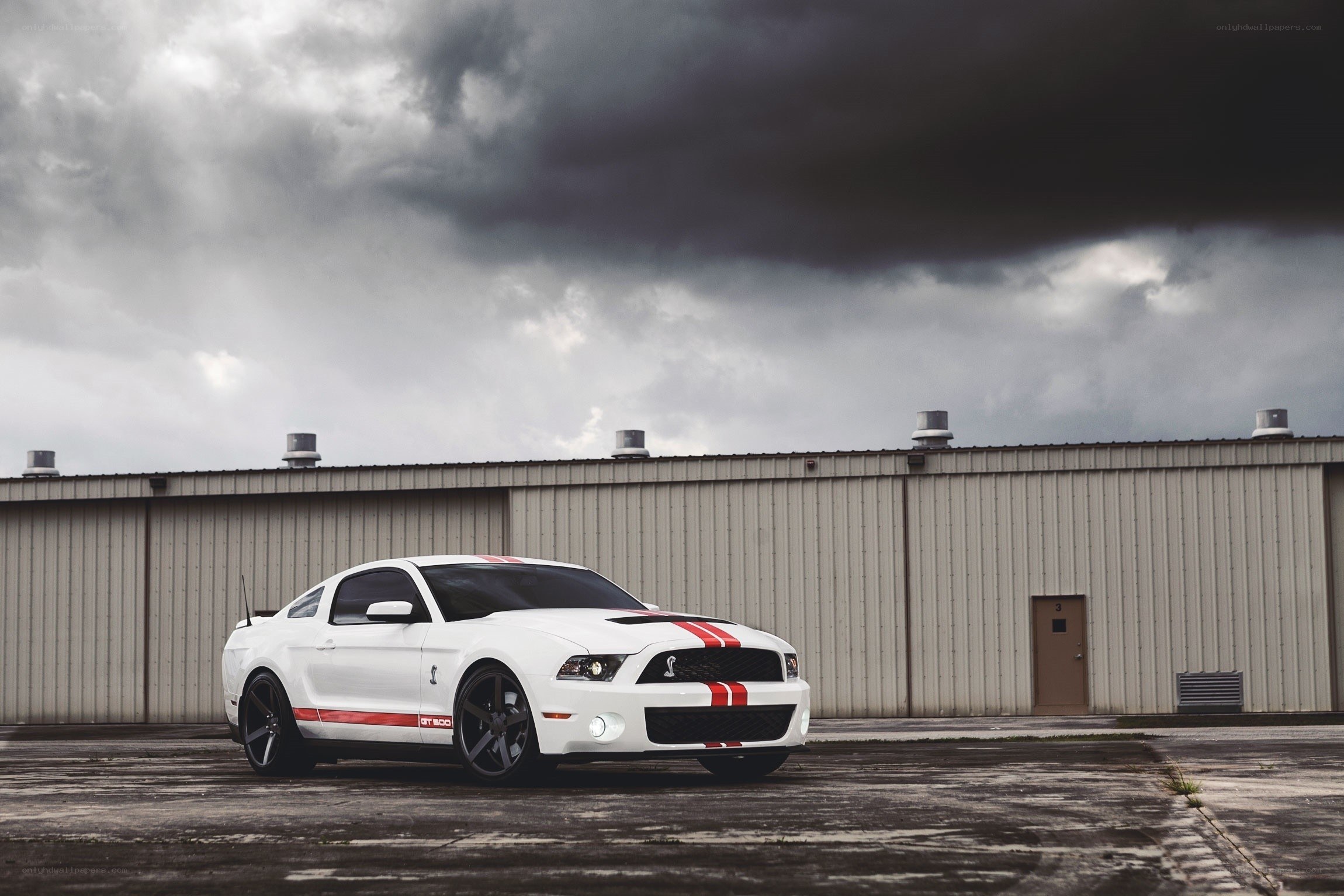 white mustang with red stripes