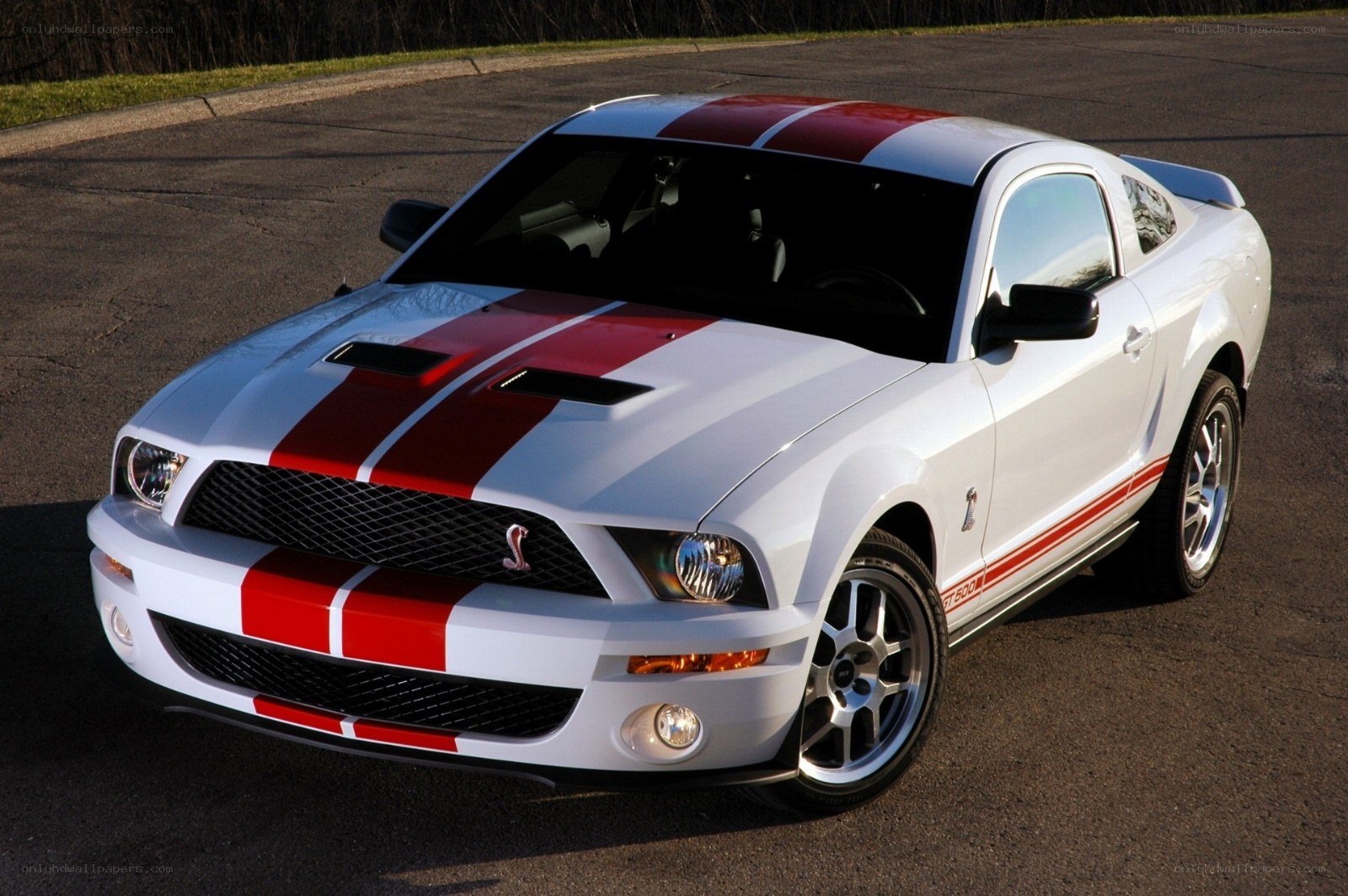 white mustang with red stripes