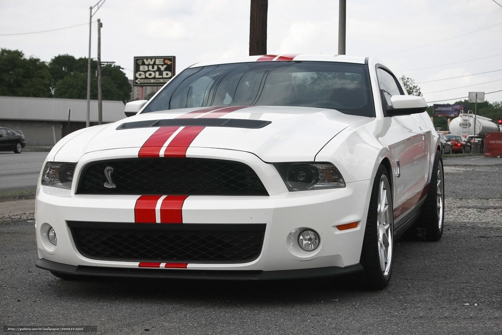 white mustang with red stripes